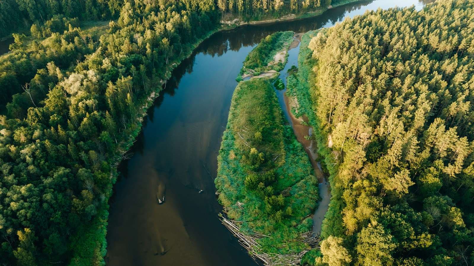 Environment / Energy