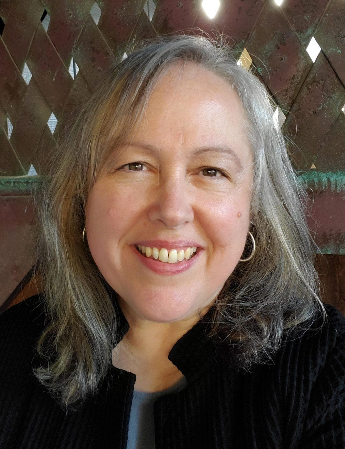 Lisa A. Petrides