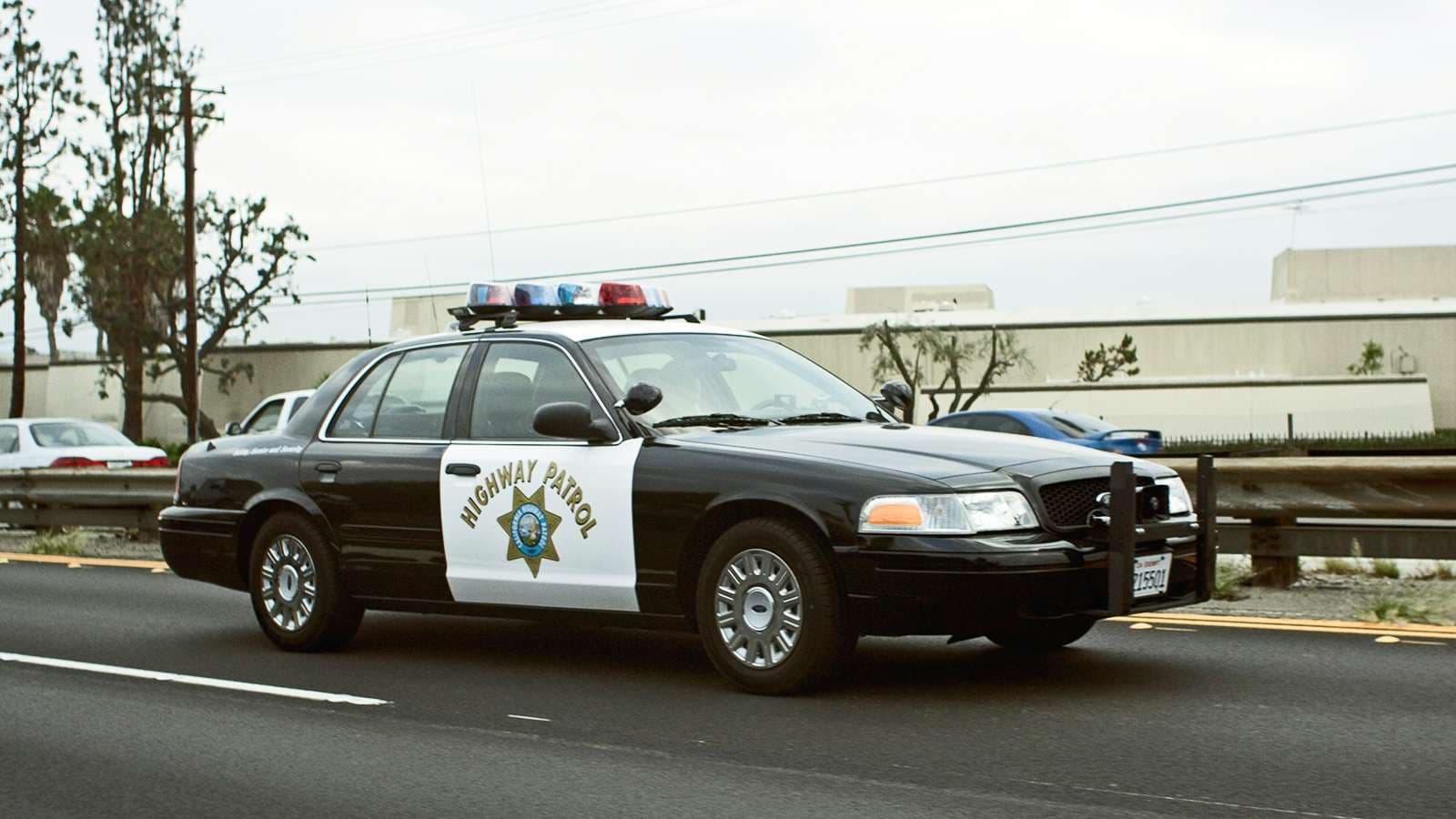 Criminal Justice / Public Safety