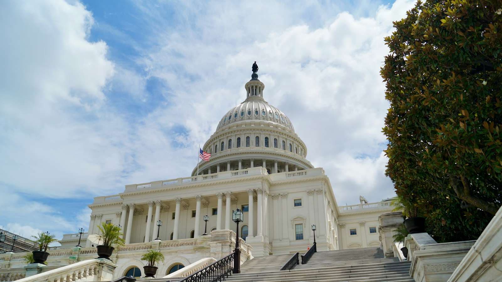 Government Reform