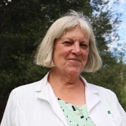 Alice Stek